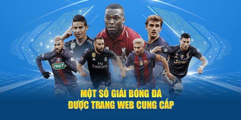 Một số giải bóng đá được trang web Cakhia TV cung cấp