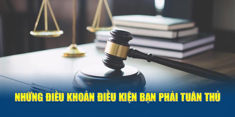 Những điều khoản điều kiện khách hàng buộc phải tuân thủ