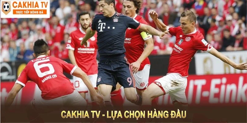 Thông tin tổng hợp về nền tảng theo dõi bóng đá cakhia