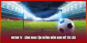 Mitom TV Lựa Chọn Hoàn Hảo Để Xem Bóng Đá Trực Tiếp Miễn Phí